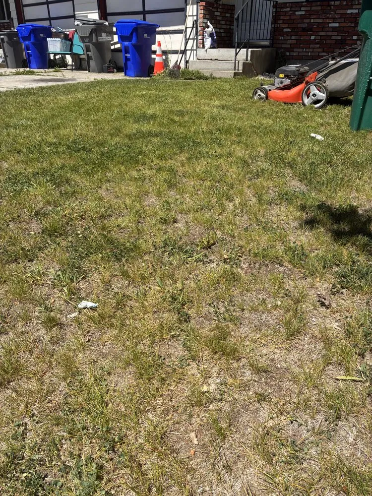 Expert landscape design in Spokane, WA - Andy’s lawn mowing