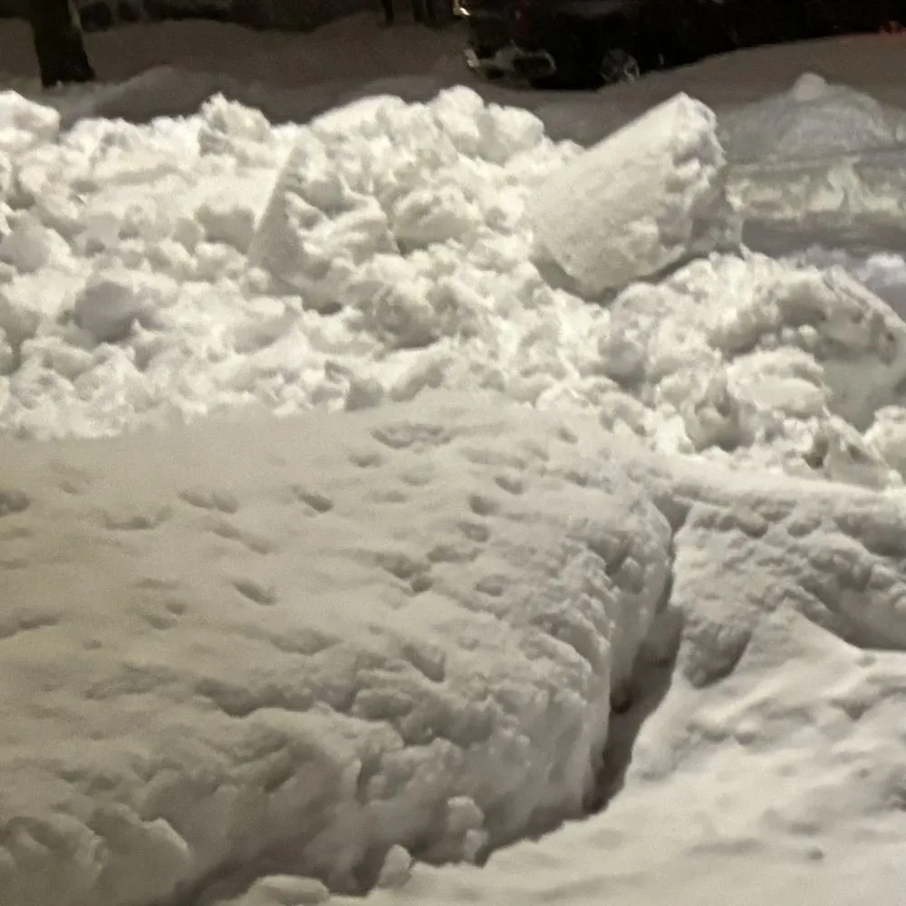 Reliable yard maintenance in West Allis, WI - Andy’s Lawn Services