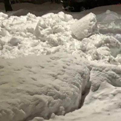 Andy’s Lawn Services Logo