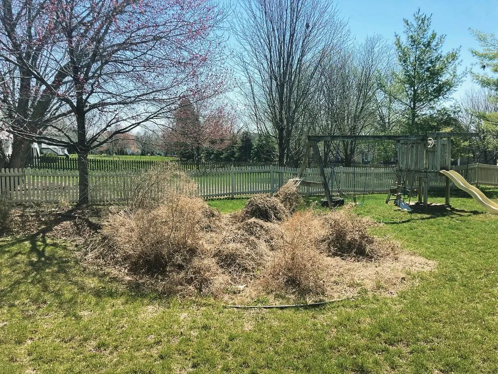 Custom landscape installation in Dallas Center, IA by Andy's Neighborhood Lawncare