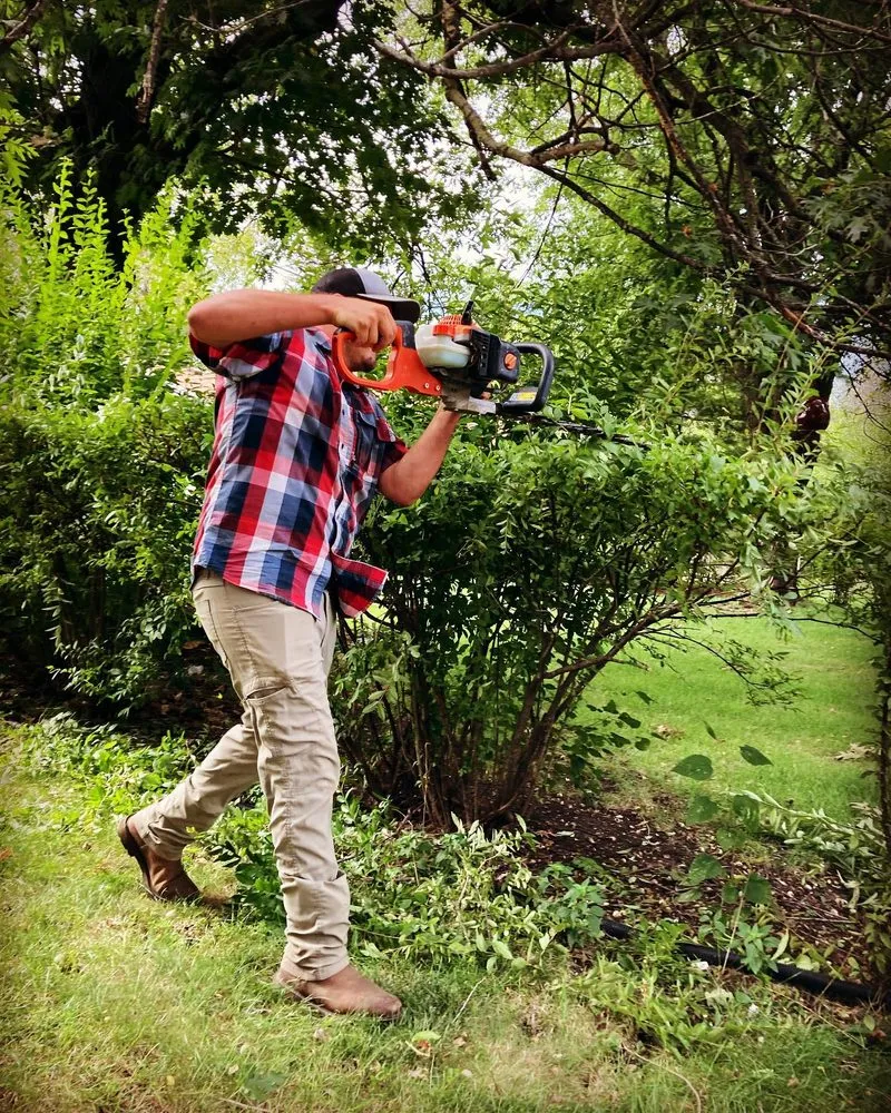 Expert landscape installation with custom design in Dallas Center, IA by Andy's Neighborhood Lawncare