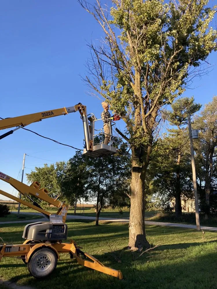 Expert yard cleanup service experts serving Dallas Center, IA - Andy's Neighborhood Lawncare