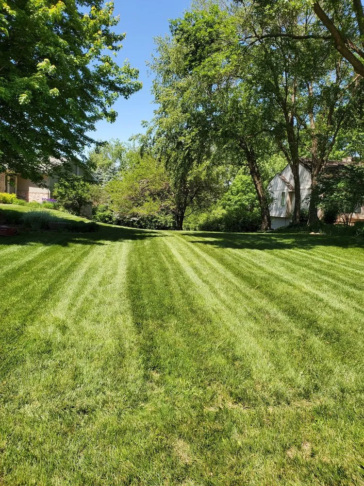 Custom lawn mowing service for residential properties in Dallas Center, IA by Andy's Neighborhood Lawncare