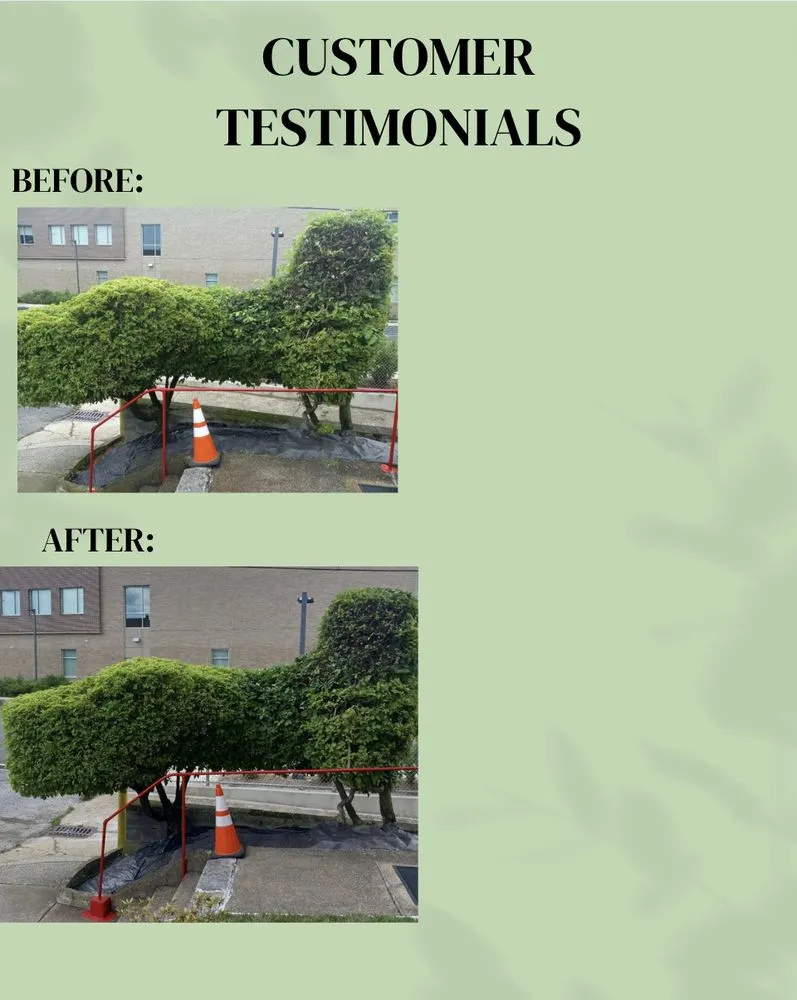 Affordable yard maintenance experts serving Parkville, MD - Andys Odd Jobs