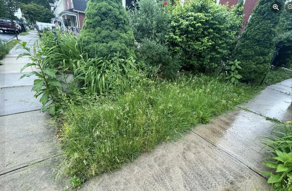 Trusted landscaping services in Bethlehem, PA by Andys Premier Property Solutions