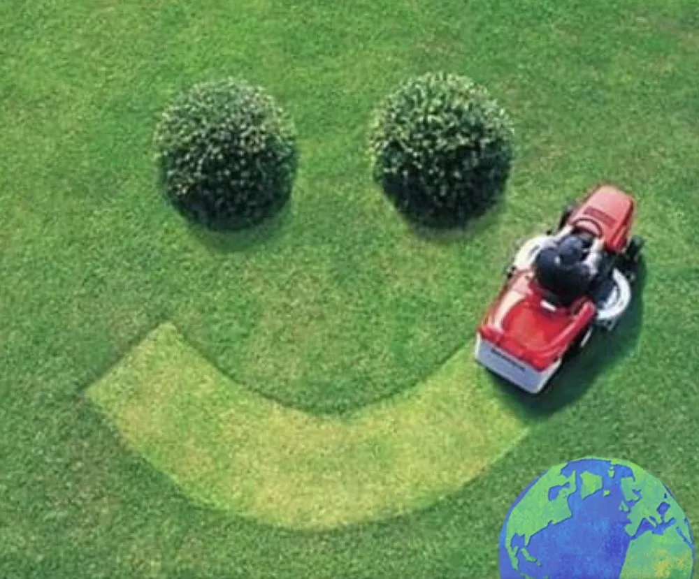 Professional yard cleanup service experts serving Bethlehem, PA - Andys Premier Property Solutions