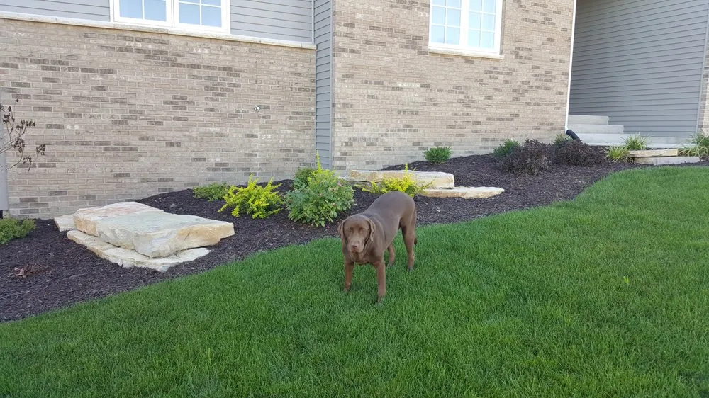 Custom yard cleanup service in Cherry Valley, IL by Andy's Professional Landscaping