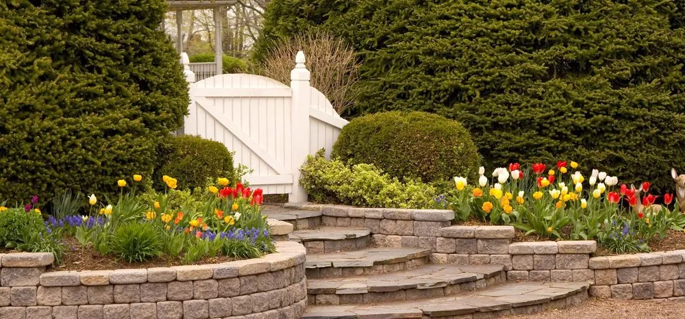 Local yard maintenance in Cherry Valley, IL - Andy's Professional Landscaping