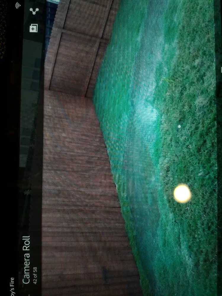 Professional yard cleanup service in Austin, TX by Andy's Sprinkler, Drainage & Lighting