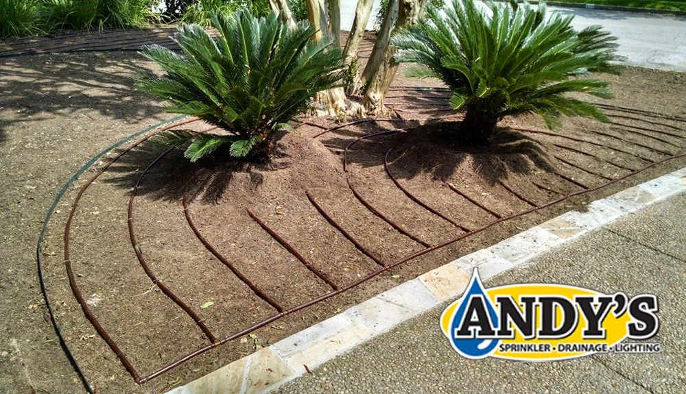 Expert landscape design for outdoor upgrades across Austin, TX - Andy's Sprinkler, Drainage & Lighting