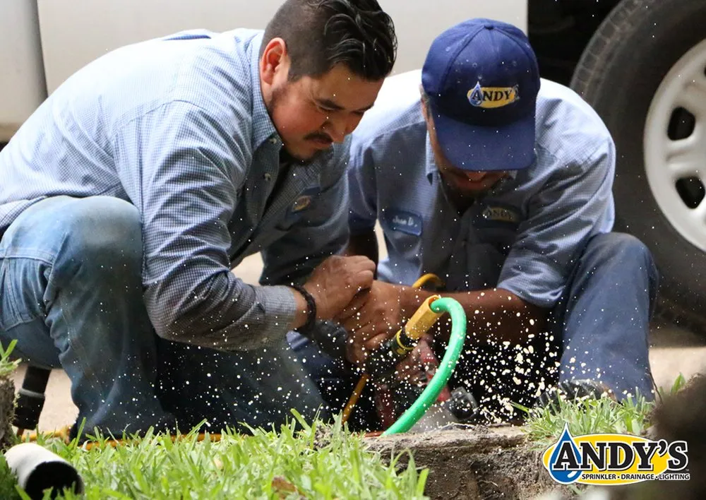 Reliable landscaping services in Austin, TX by Andy's Sprinkler, Drainage & Lighting