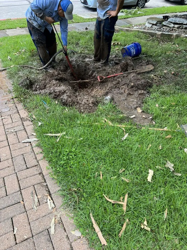 Expert residential landscaping for beautiful yards in Austin, TX by Andy's Sprinkler, Drainage & Lighting