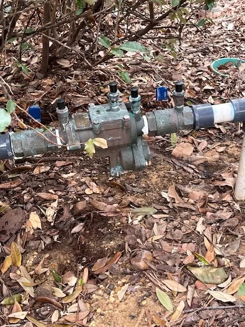 Trusted garden landscaping experts serving Houston, TX - Andy's Sprinkler, Drainage & Lighting