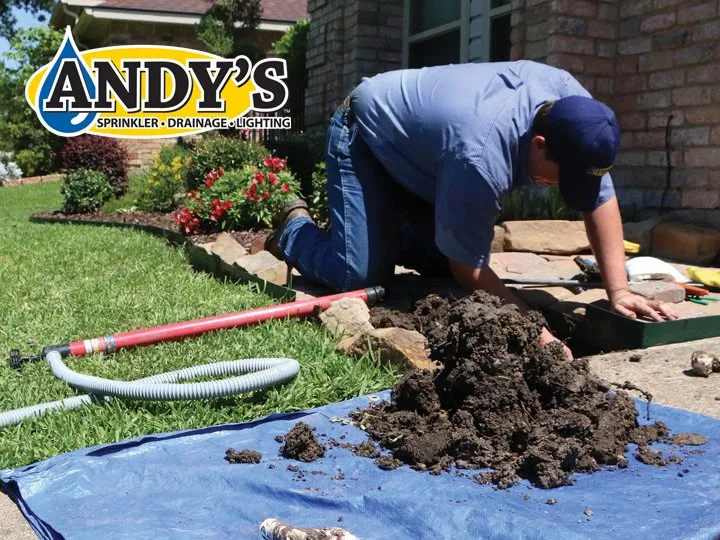 Professional landscaping services for beautiful yards across Houston, TX - Andy's Sprinkler, Drainage & Lighting