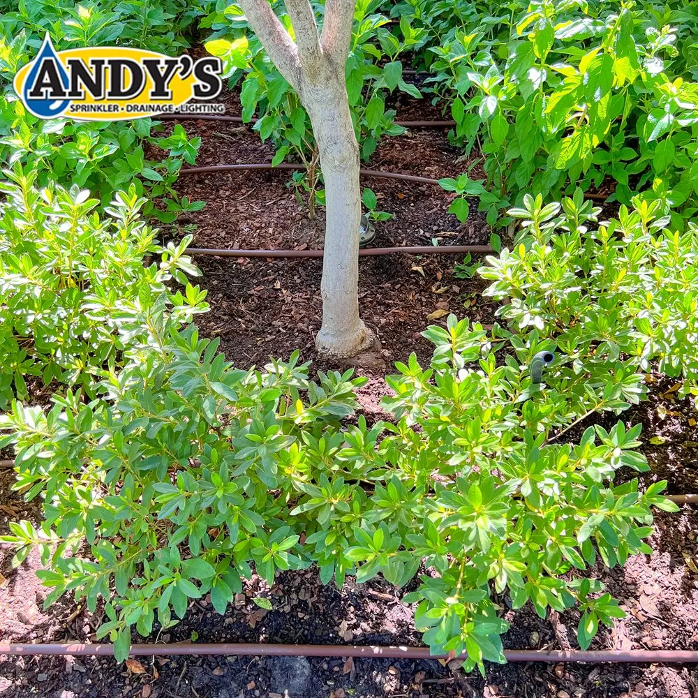 Top-rated residential landscaping in Houston, TX by Andy's Sprinkler, Drainage & Lighting