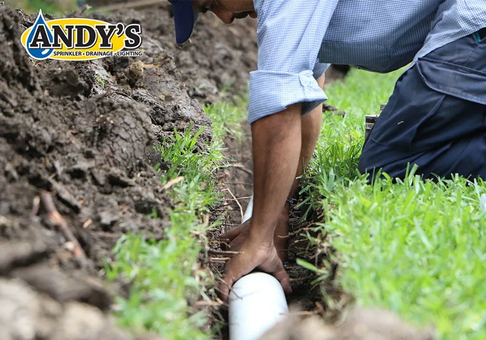 Top-rated outdoor landscaping for year-round maintenance across North Charleston, SC - Andy's Sprinkler, Drainage & Lighting