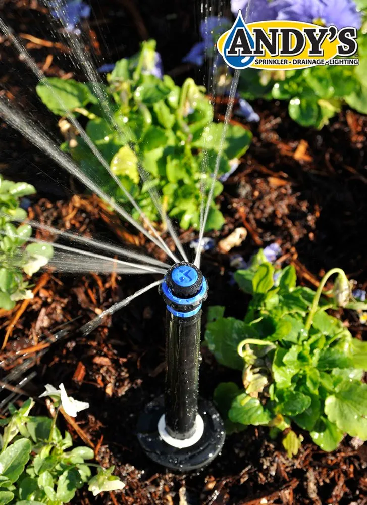 Reliable yard cleanup service in Waco, TX - Andy's Sprinkler, Drainage & Lighting