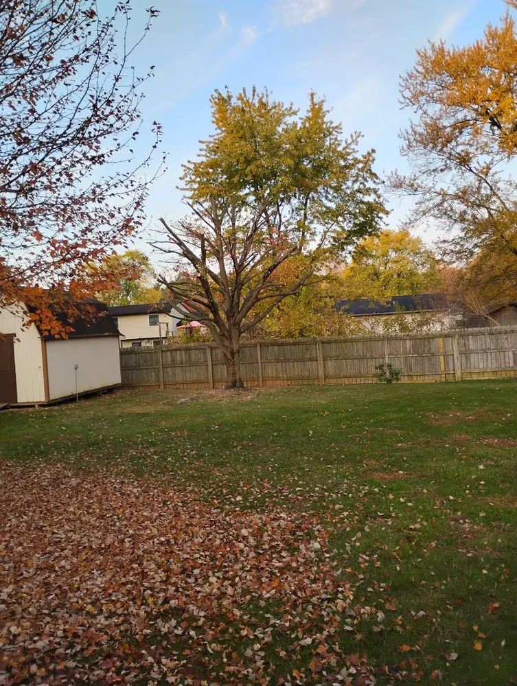 Expert landscape design in Indianapolis, IN - Andy's tree & landscape