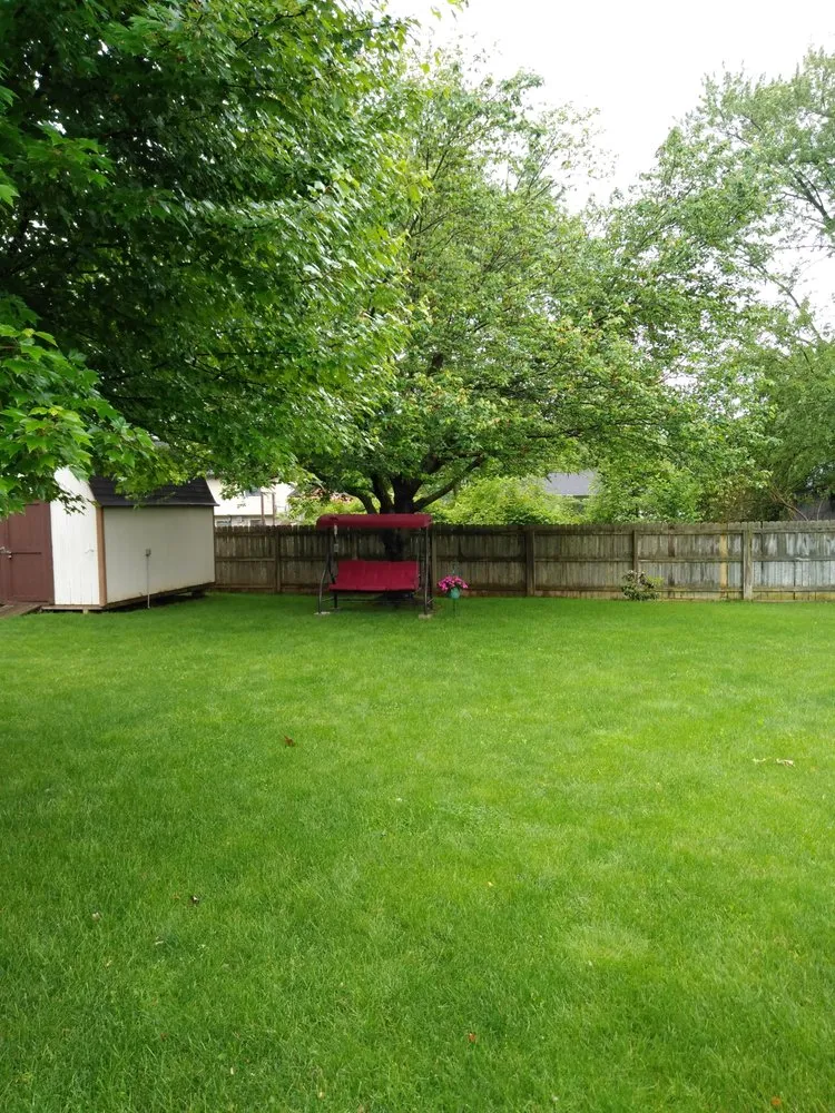 Top-rated landscape design experts serving Indianapolis, IN - Andy's tree & landscape