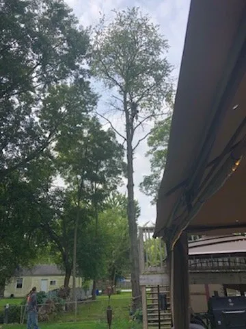 Custom residential landscaping experts serving Indianapolis, IN - Andy's tree & landscape