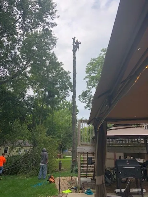 Affordable garden landscaping in Indianapolis, IN by Andy's tree & landscape