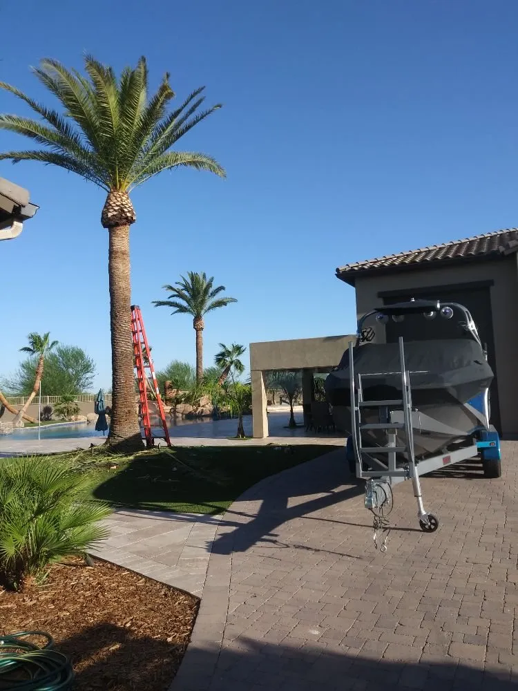 Expert landscaping services in Prescott, AZ - Andys Tree