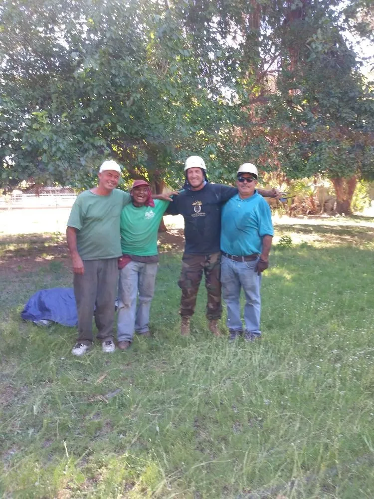 Expert lawn care service in Prescott, AZ by Andys Tree