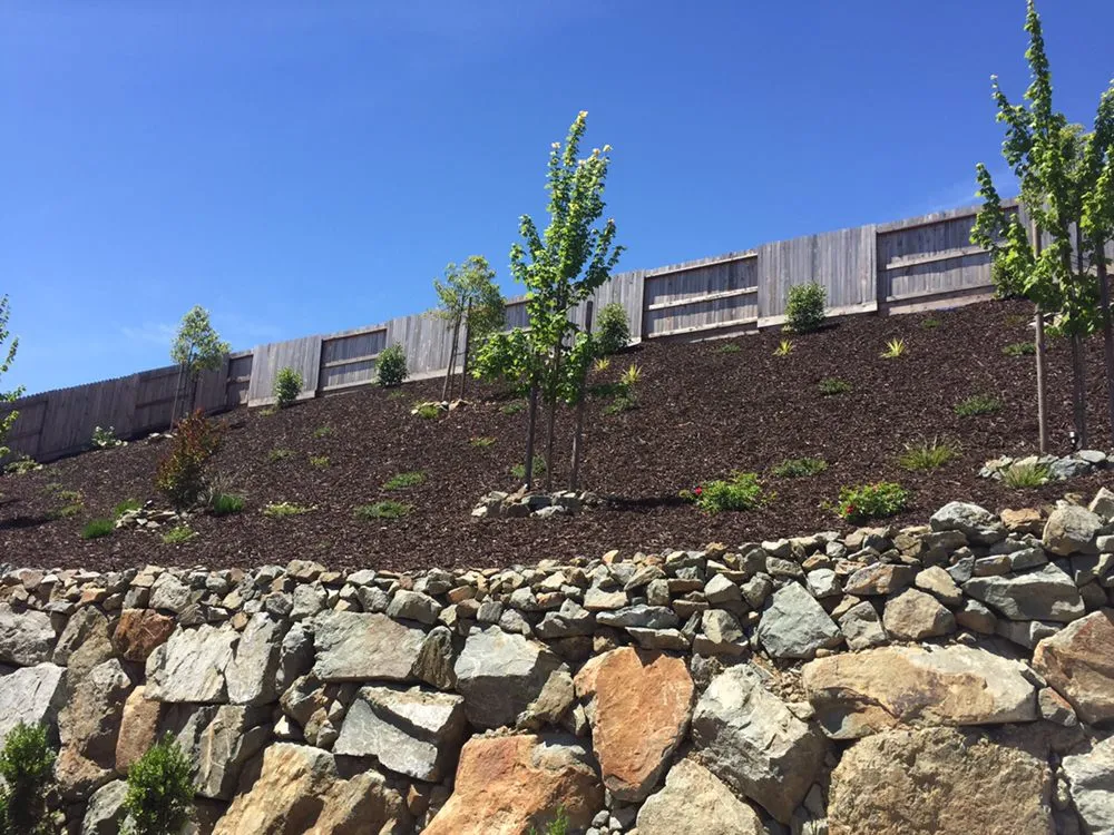 Affordable garden landscaping for year-round maintenance in Cameron Park, CA by Andy's Winn Landscaping Greenmoth Landscaping