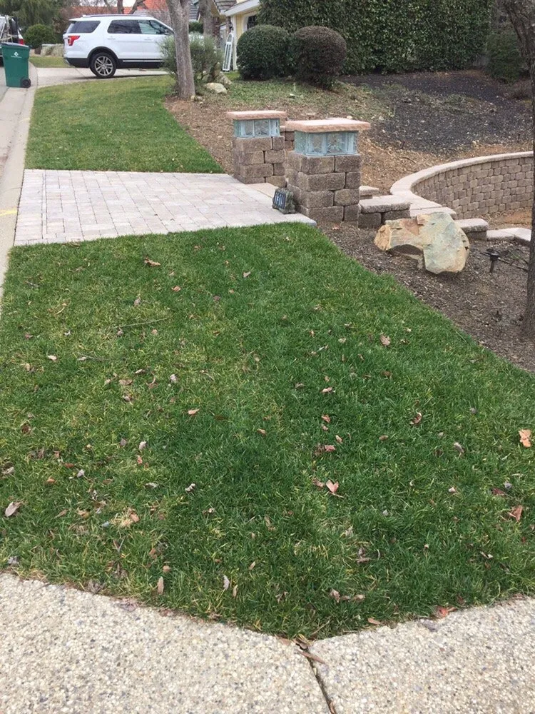 Local yard cleanup service for residential properties in Cameron Park, CA by Andy's Winn Landscaping Greenmoth Landscaping