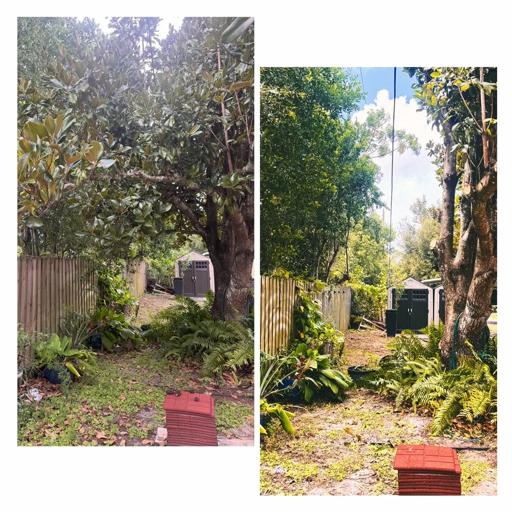 Expert landscape installation for outdoor upgrades across Deltona, FL - ANE Landscaping