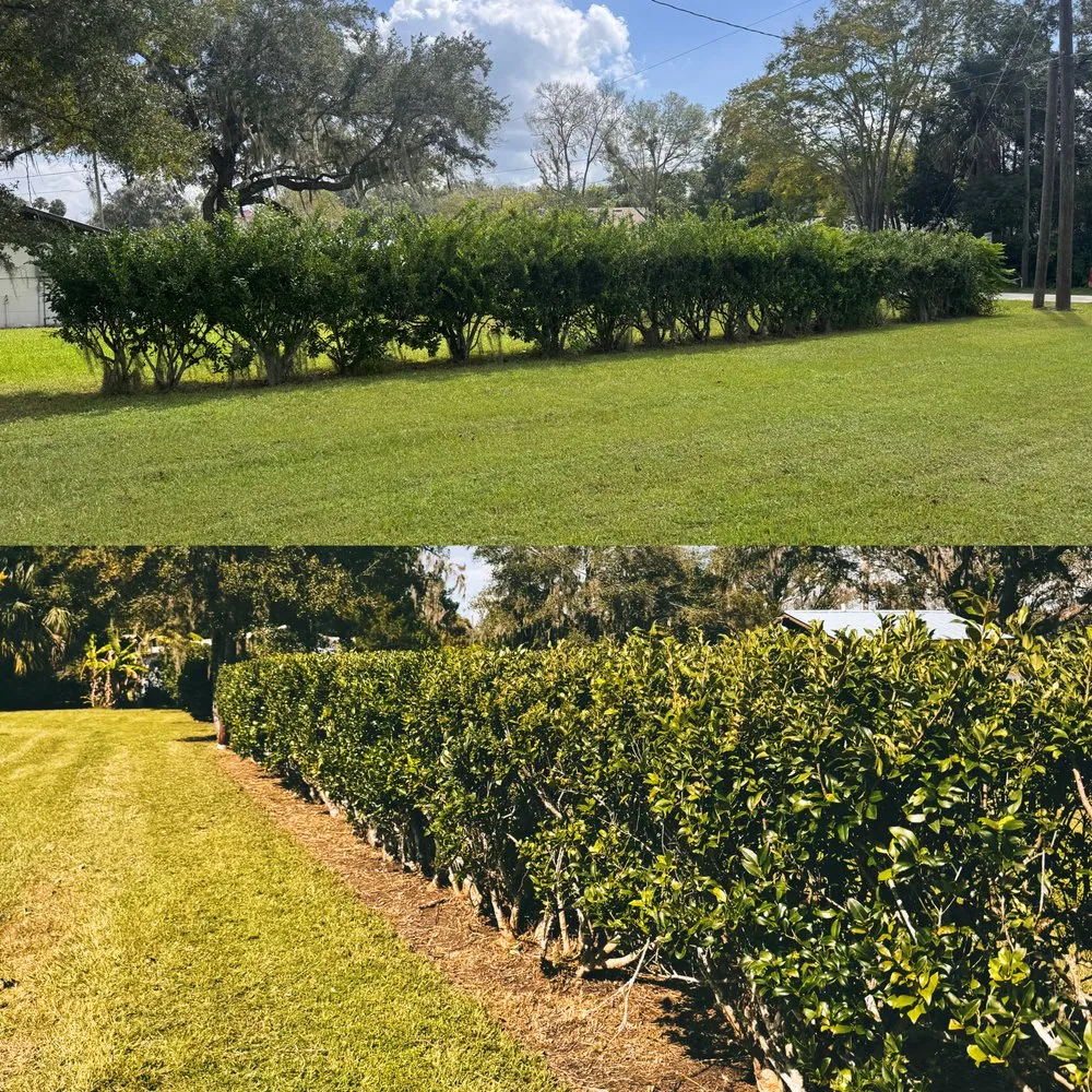 Reliable landscaping services in Deltona, FL by ANE Landscaping