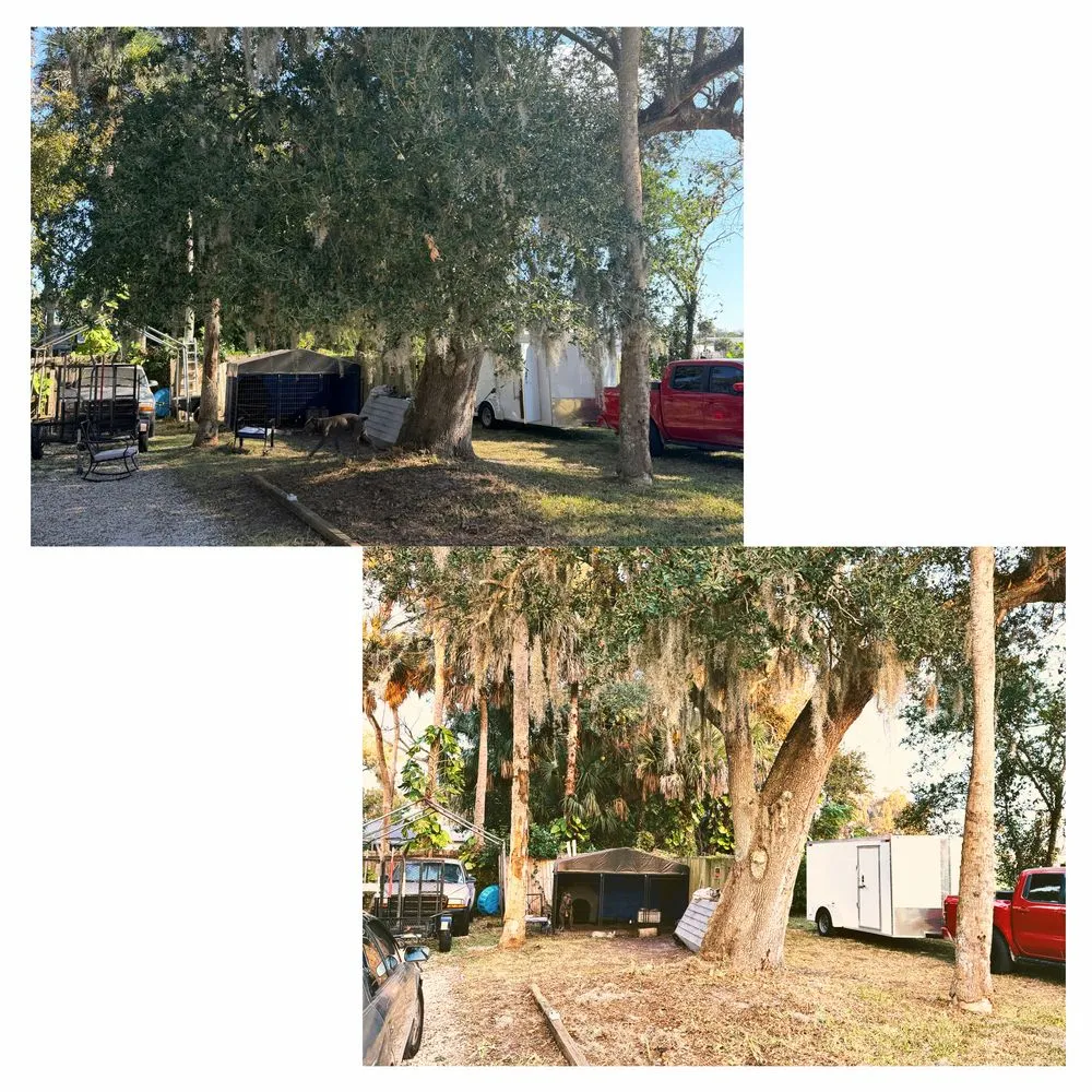 Affordable yard maintenance in Deltona, FL - ANE Landscaping