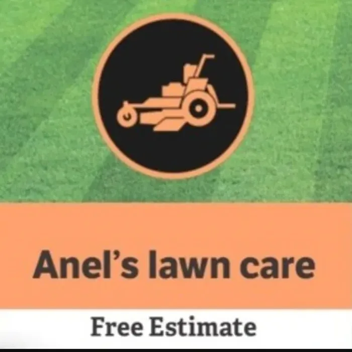 Professional yard cleanup service with custom design in West Palm Beach, FL by Anel's Lawn Care
