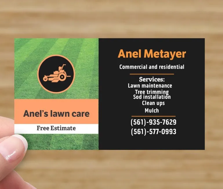 Professional yard cleanup service in West Palm Beach, FL - Anel's Lawn Care