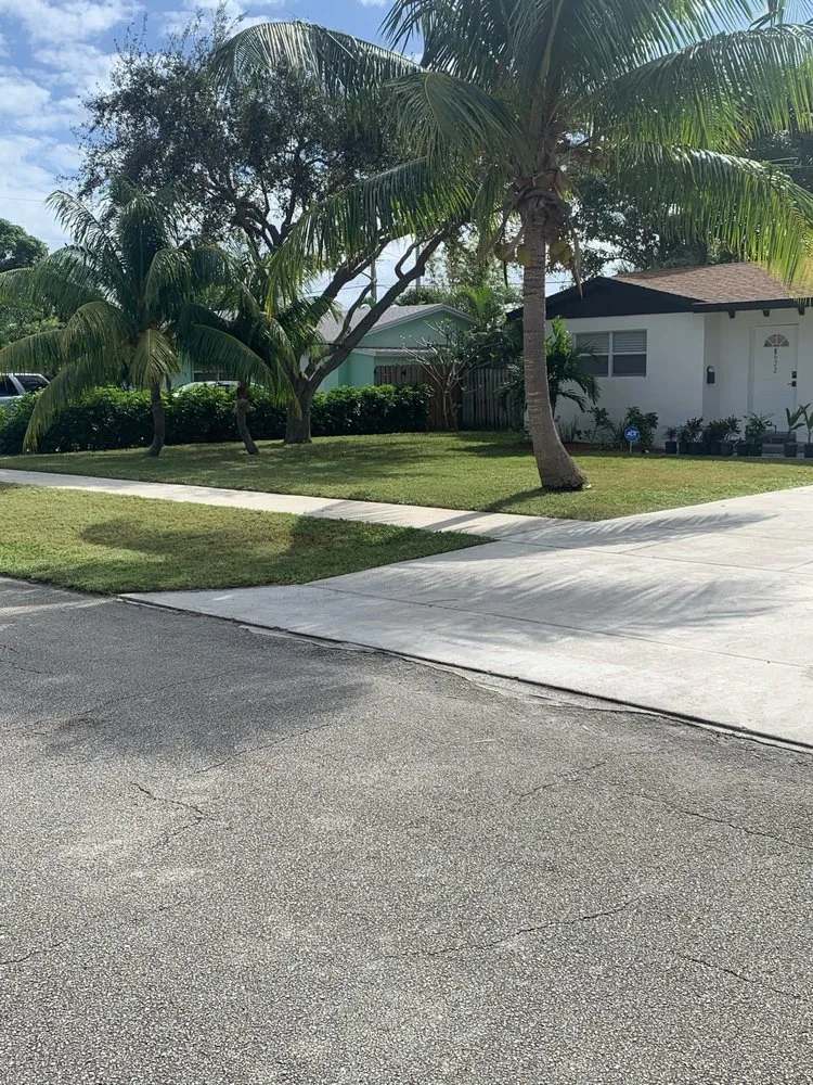 Professional landscaping services for outdoor upgrades across West Palm Beach, FL - Anel's Lawn Care