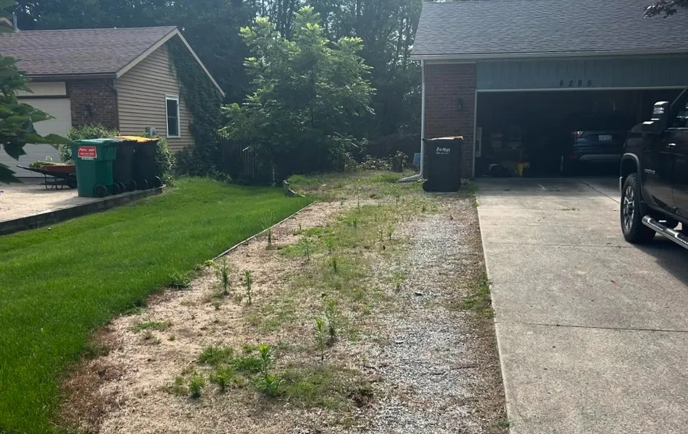 Custom lawn care service near you across Hudsonville, MI - Anes Excavating & Landscaping