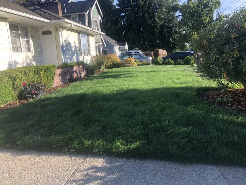 Affordable landscaping services for year-round maintenance in Tacoma, WA by Anew Area Lawn Care & Landscaping