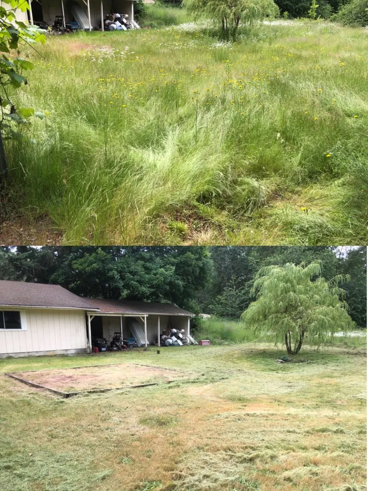 Professional outdoor landscaping in Tacoma, WA by Anew Area Lawn Care & Landscaping