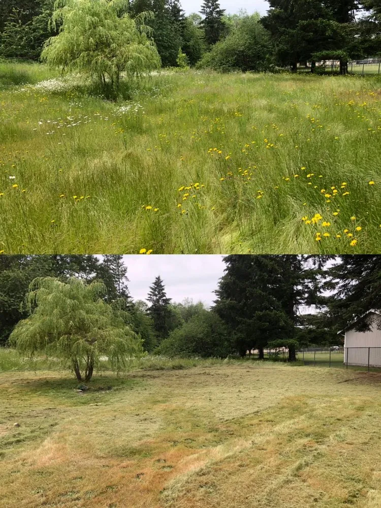 Reliable landscape installation near you across Tacoma, WA - Anew Area Lawn Care & Landscaping