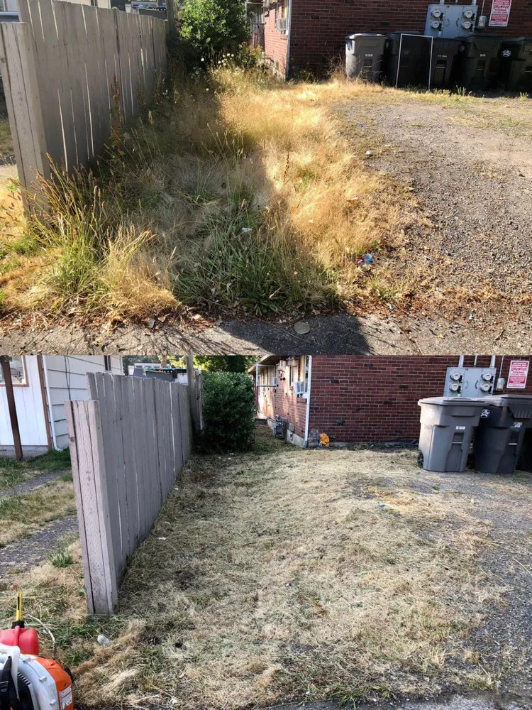 Reliable residential landscaping experts serving Tacoma, WA - Anew Area Lawn Care & Landscaping