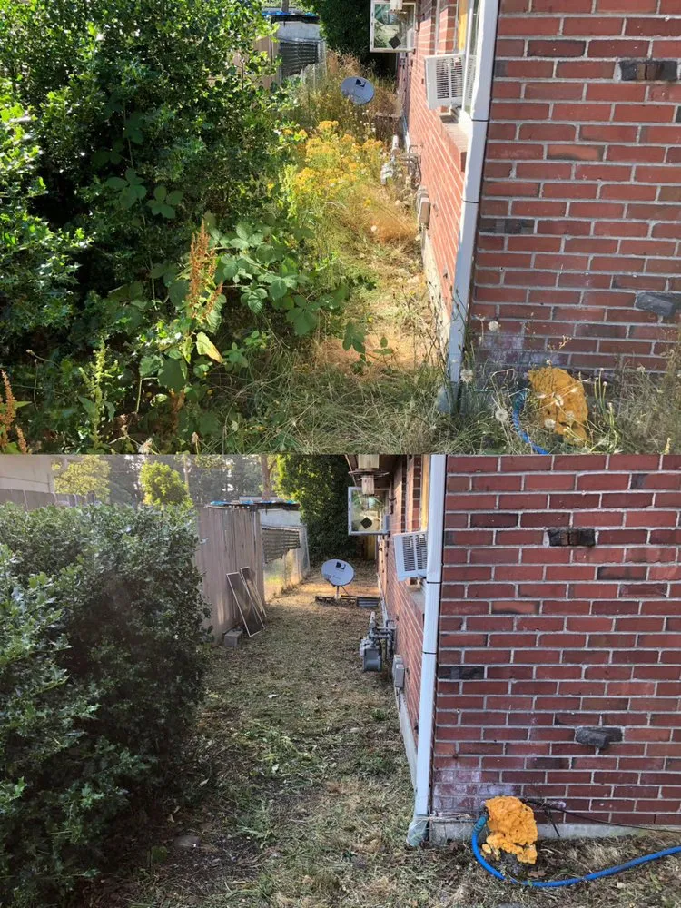 Reliable outdoor landscaping experts serving Tacoma, WA - Anew Area Lawn Care & Landscaping