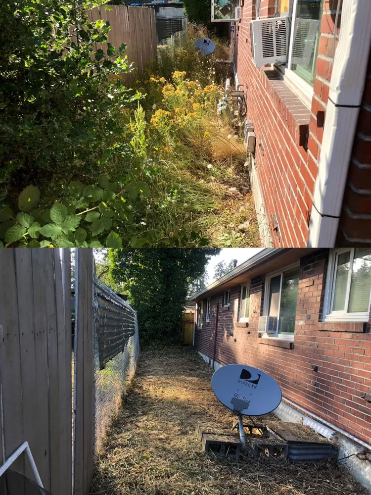 Top-rated landscaping services for homes in Tacoma, WA by Anew Area Lawn Care & Landscaping