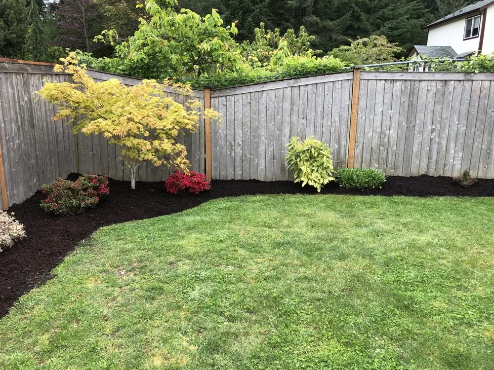 Professional lawn mowing service in Tacoma, WA by Anew Area Lawn Care & Landscaping