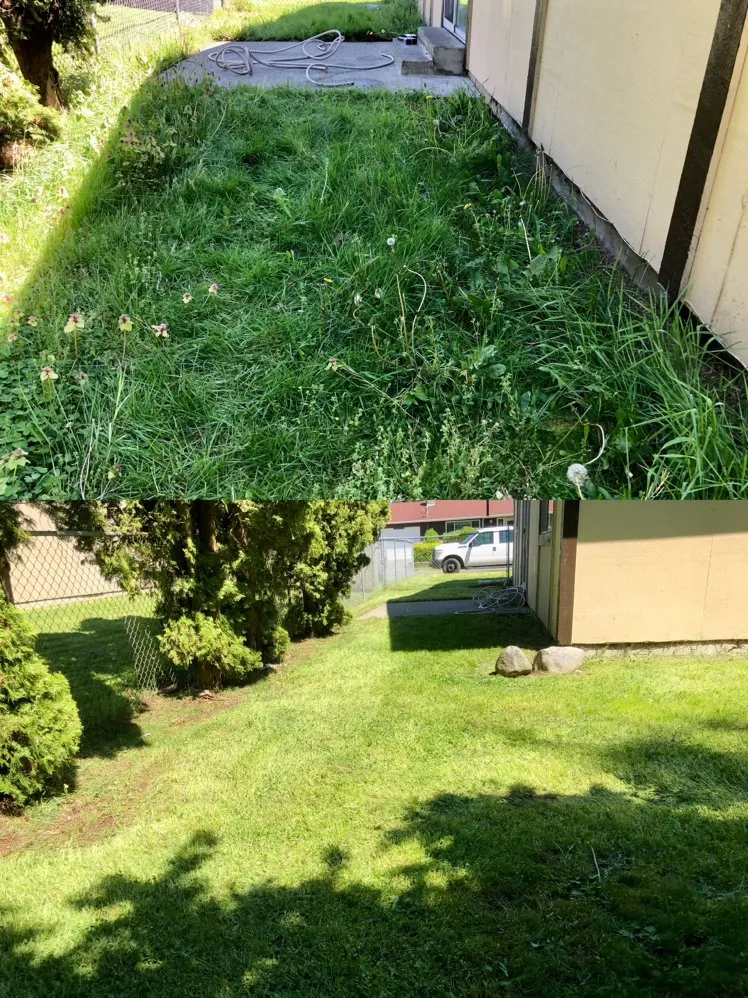 Affordable yard maintenance in Tacoma, WA - Anew Area Lawn Care & Landscaping