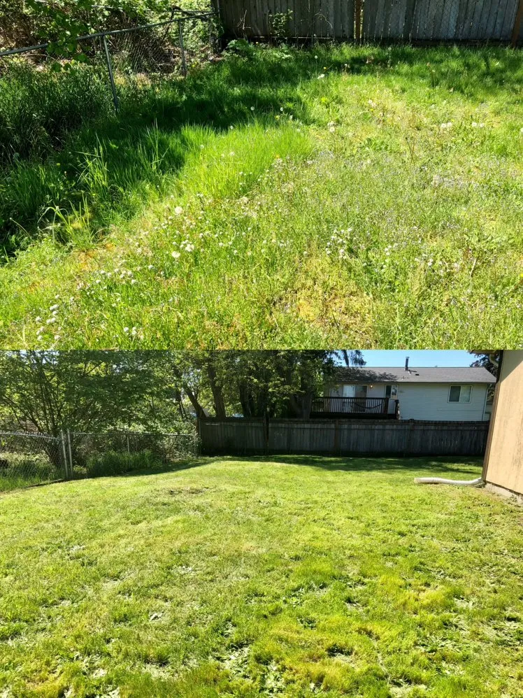 Local landscaping services for outdoor upgrades across Tacoma, WA - Anew Area Lawn Care & Landscaping