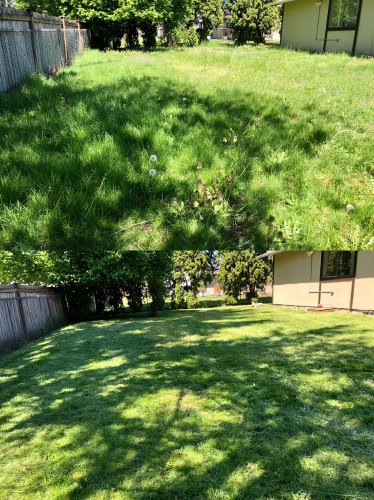 Local lawn mowing service in Tacoma, WA - Anew Area Lawn Care & Landscaping