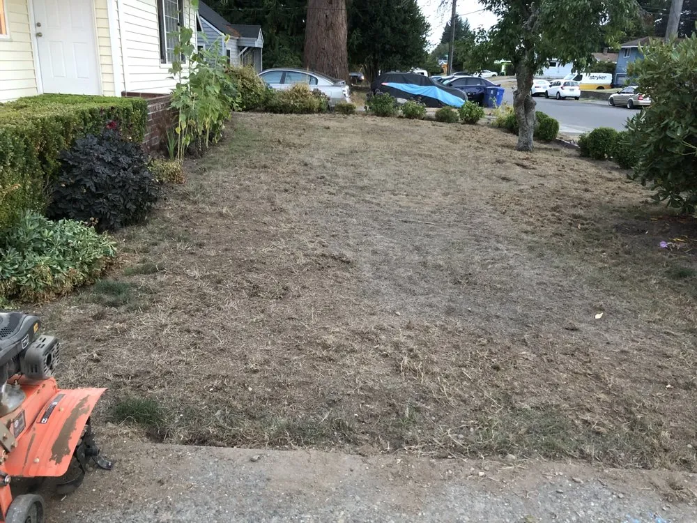 Top-rated outdoor landscaping for year-round maintenance across Tacoma, WA - Anew Area Lawn Care & Landscaping