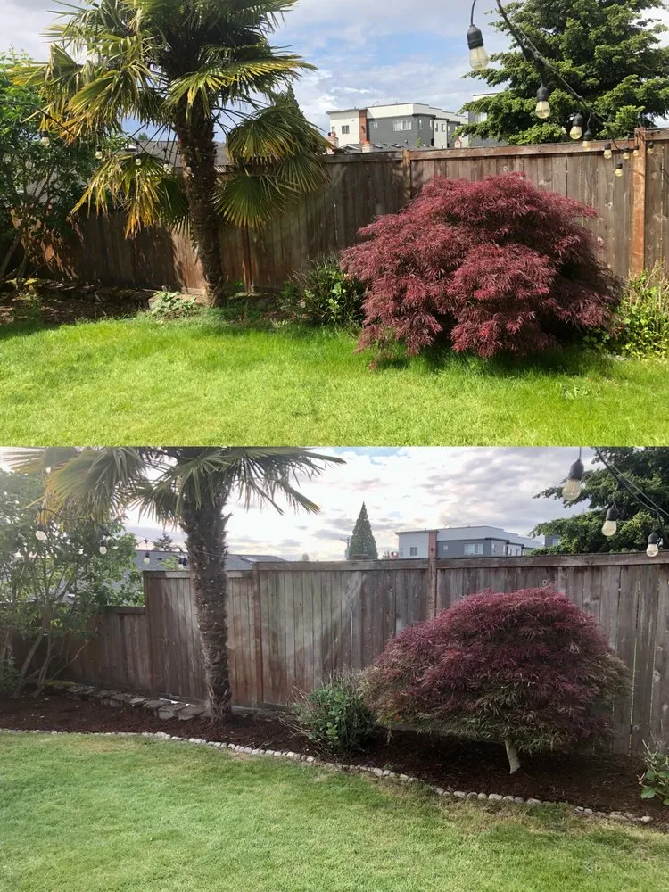 Custom landscape installation in Tacoma, WA by Anew Area Lawn Care & Landscaping