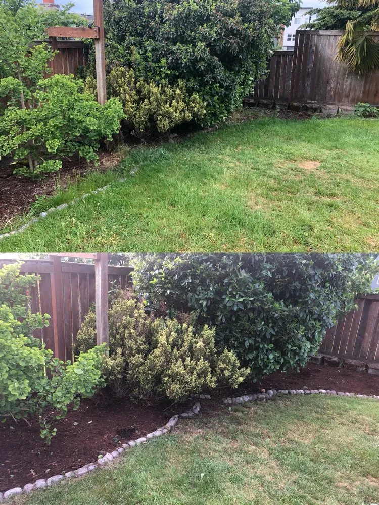 Local landscape design for residential properties across Tacoma, WA - Anew Area Lawn Care & Landscaping