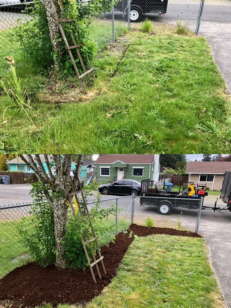 Top-rated lawn care service in Tacoma, WA by Anew Area Lawn Care & Landscaping